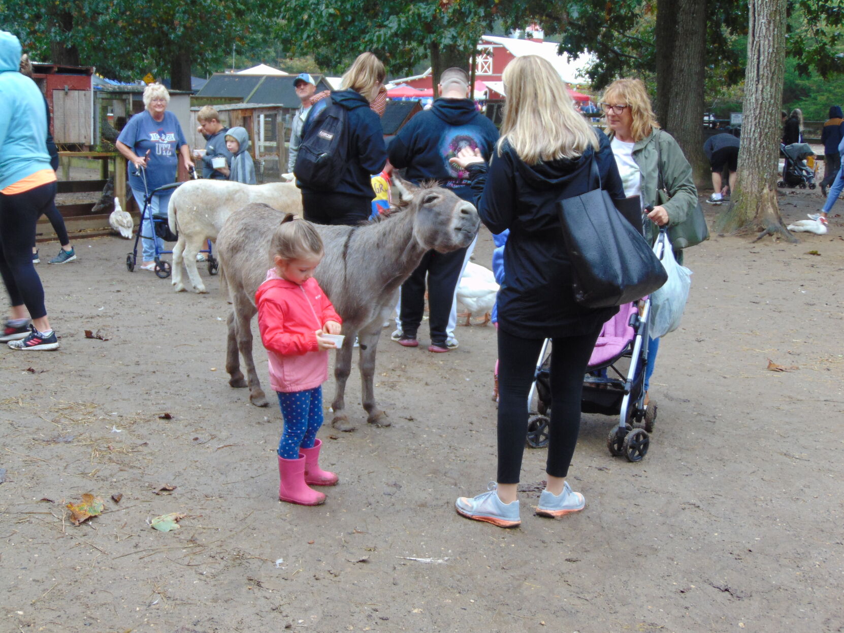 Farm gallery 12.JPG